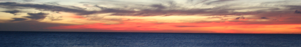 IMG_Header